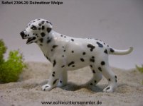 safari239629dalmatinerwelpe_579.jpg