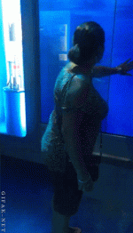 funny-gifs-Hi-there.gif