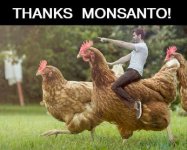 Monsanto.jpg