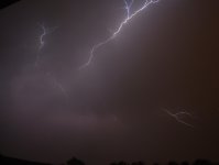 DSC_0272.jpg