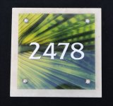 rm2478palm3.jpg