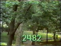 2482.jpg