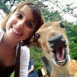 deer_selfie.jpg