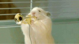 anigif_enhanced-buzz-18653-1382990072-31.gif