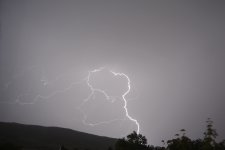 DSC_0403.JPG
