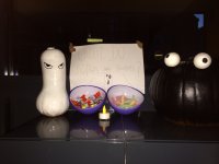 IMG_6452.jpeg