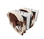 Noctua.PNG