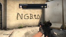 ngb-cs.jpg