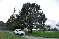 DSC_7463ngb - Kopie.jpg