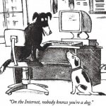 dog-internet.jpg