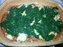 spinatlasagne2.jpg