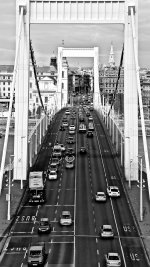 IMG_3926.jpg