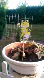 IMAG0234A6RA28.jpg