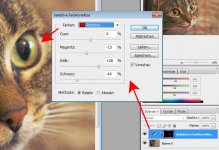 farbkorrektur-katze.jpg