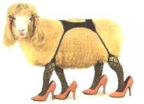 schaf_stoeckelschuhe.jpg