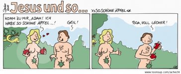 so_schoene_aepfel_110301_1251.jpg