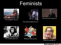 frabz-Feminists-How-bloggers-see-you-How-other-people-see-you-how-your-eba711.jpg