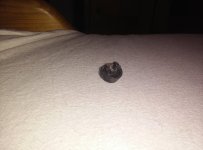 IMG_20150305_183441.jpg