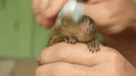 tumblr_nflc6tcbui1r2nw3r08.gif