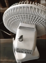 bugfan.gif