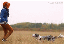 die-witzigsten-hunde-gifs-aller-zeiten_3.gif