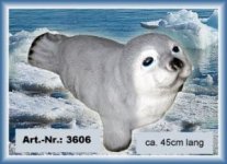 3606.jpg