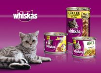 Whiskas-mehr-Geschmacksvielfalt-in-der-Dose_high.jpg