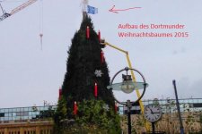 5433452_m3w624h416q75v63138_Weihnachtsbaum_mit_Schalke.jpg