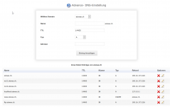 webuzo-advance-dns.png
