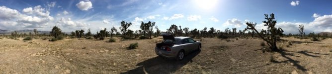 IMG_1384.JPG