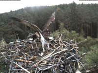 Zwischenablage03.jpg