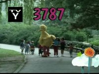 3787.jpg