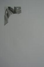 DSC_1067.jpg