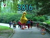 3816.jpg