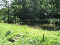 Teich.jpg