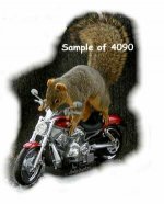 4090a.jpg