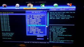 bios1.jpg