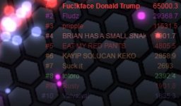 nov8.jpg