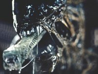 25-best-alien-movies-ever-alien.jpg