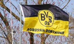 bvb-1322728_640.jpg