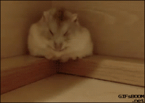 viewer.php?img=tumblr_nwsnphqBid1s02vreo1_4009KFSGB.gif