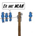 WLAN-Vogel.jpg