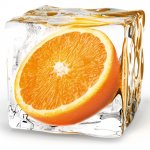 wandbild-eiswürfel-mit-orange,-shophit-serie-20x20cm-dg-dt5174-wb-31.jpg