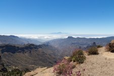 IMG_4547.jpg