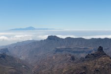 IMG_4563.jpg