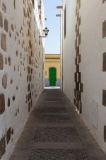 IMG_4731.jpg