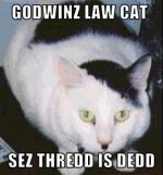 godwincat-thumb-298x319-155479.jpg