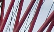 lw1.jpg