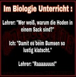 Hodensack.jpg