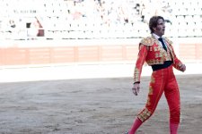matador-389398_960_720.jpg